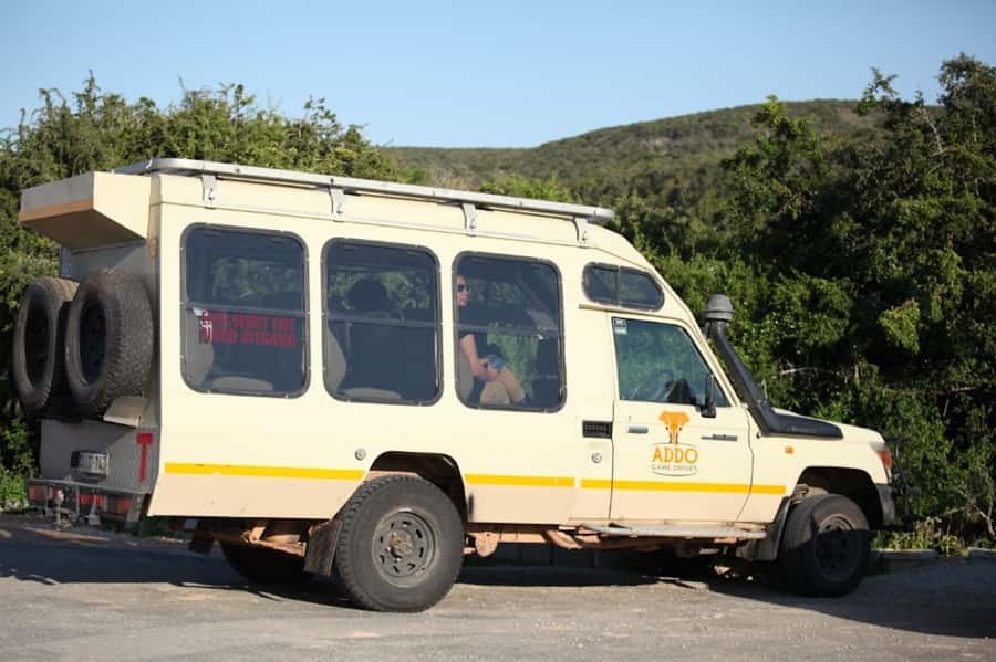 Full-Day All Inclusive Safari with Traditional Braai Lunch - Addo Elephant National Park is the main character of the day