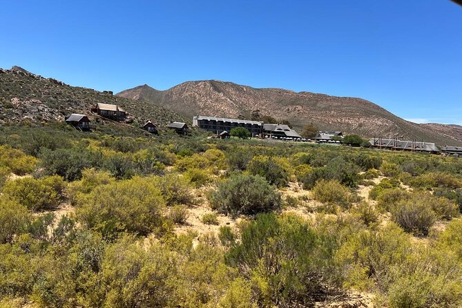 Full day Aquila Game Reserve Big 5 Safari with Wine Tasting Tour - Fairview Wine and Cheese in Paarl: A Calm, Scenic Finish to the Day