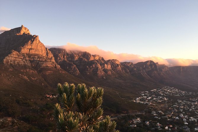 Full-Day Best of the Cape, Peninsula, Cape Point and Stellenbosch Tour - Cape Point: Your Main Walk, the Best Views, and How to Not Miss It