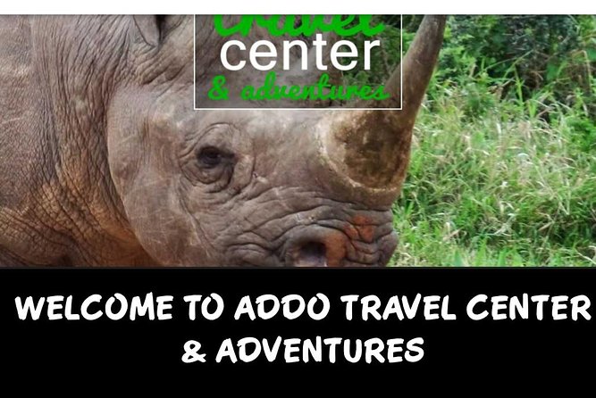 Full day big 5 addo Safari - Pickup and small group touring, why it matters