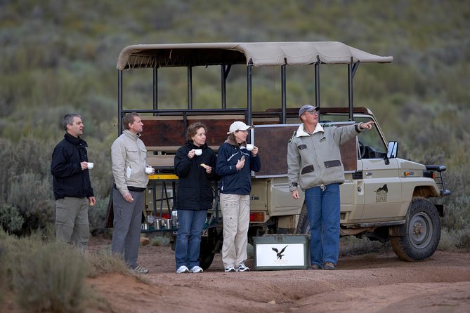 Full Day Big 5 Aquila Safari Private Transfers Including Park Fee From Cape Town - Fairview Wine and Cheese Stop: A Fun Reset Without Taking Over the Day