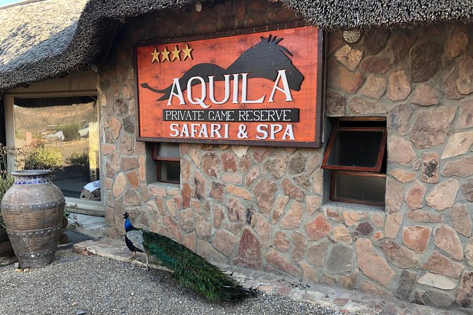 Full Day Big 5 Aquila Safari Private Transfers Including Park Fee From Cape Town - Price and Value: Is $345.08 Fair for What You Get?