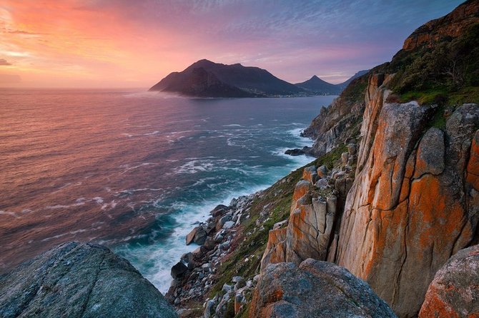 FULL Day Cape of Good Hope and Boulders Penguin Colony - Cape Point Nature Reserve, plants, animals, and the feeling of being at the edge
