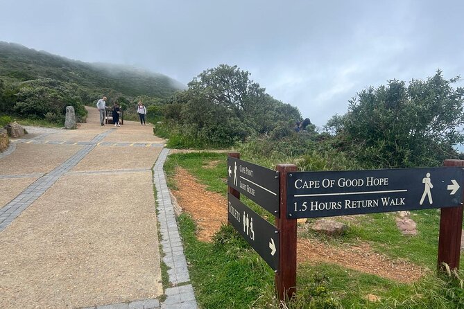 Full-Day Cape of Good Hope and Table Mountain with Penguins Tour - Key Highlights You Should Know Before You Go
