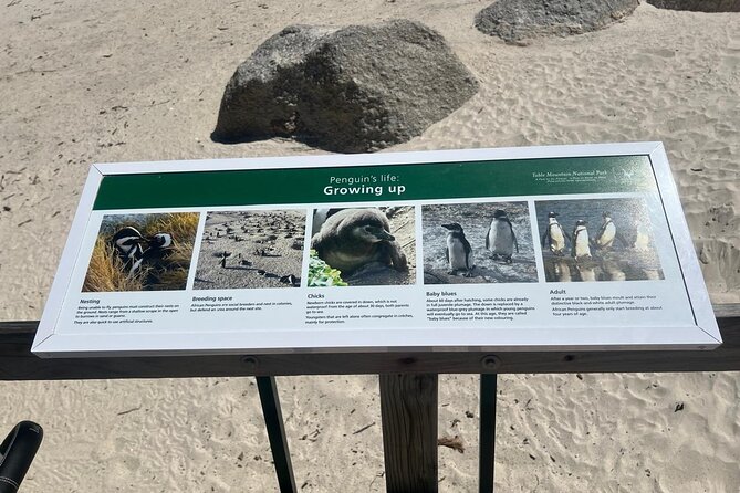 Full-Day Cape of Good Hope and Table Mountain with Penguins Tour - Table Mountain Cableway: The Best Way to Get the Big View