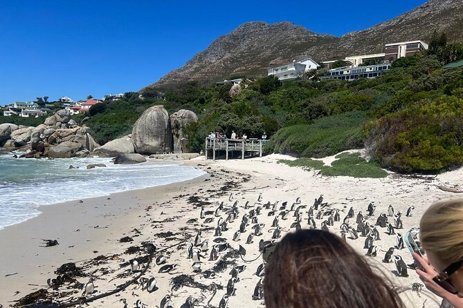 Full-Day Cape of Good Hope and Table Mountain with Penguins Tour - Cape of Good Hope: Where Two Oceans Share the Same Corner