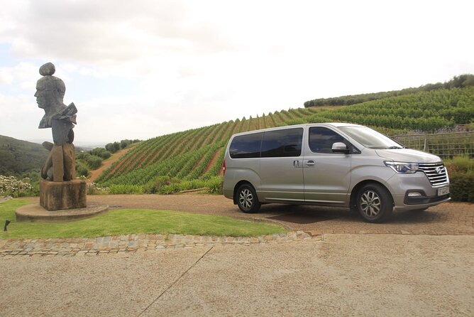 Full Day Cape of Good Hope & Boulder's Beach Penguin Private Tour - Boulders Beach penguin hour: planning your time for the best watching
