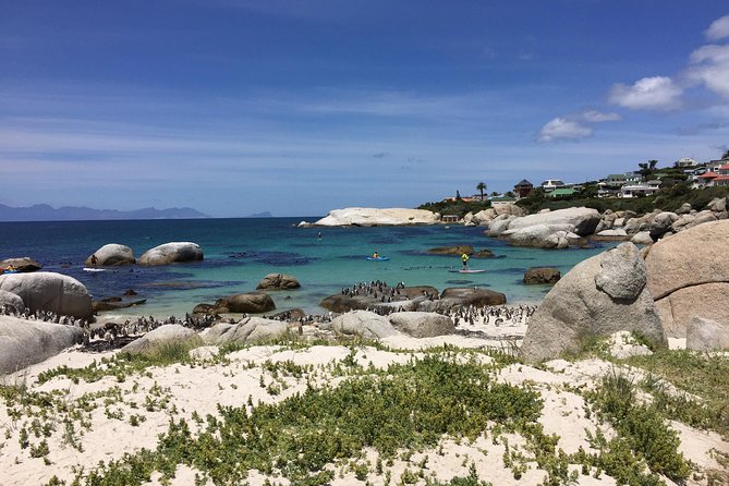 Full Day Cape Peninsula Motorcycle Tour on a Royal Enfield - Price and Value: What $285.70 Covers, and What Costs Extra