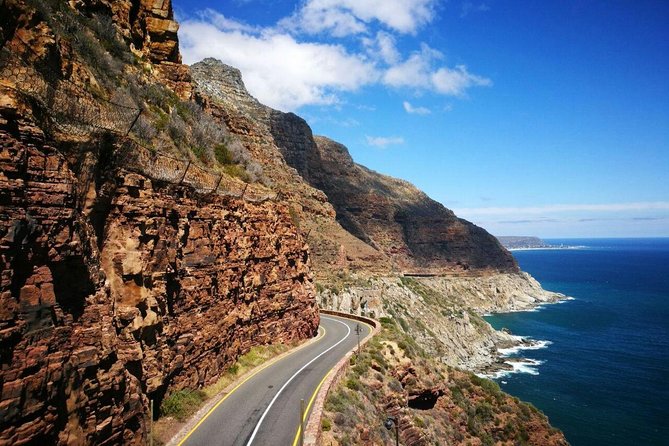 Full-Day Cape Peninsula Tour from Cape Town - Why a single-day Peninsula loop is such good value