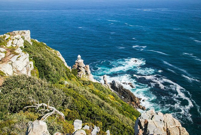 Full-Day Cape Peninsula Tour from Cape Town - Boulders Beach and jackass penguins: optional, but worth planning for