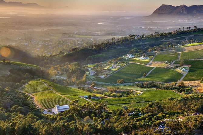 Full day Cape Point + Constantia Wine Tour with Private Transfer - Getting rolling from Cape Town at 8:30, with comfort you’ll notice on day one