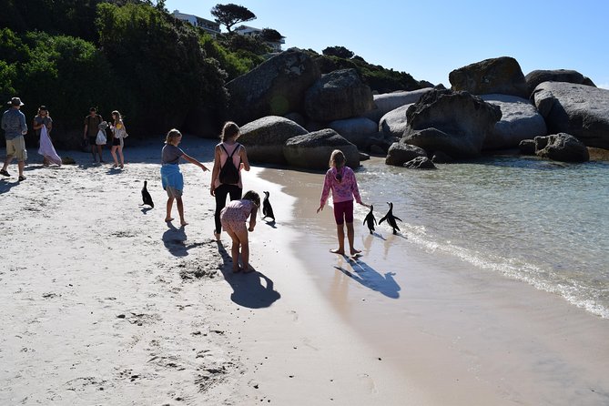 Full day Cape Point + Constantia Wine Tour with Private Transfer - Groot Constantia in Constantia Valley: a classic estate tasting at the end of the day