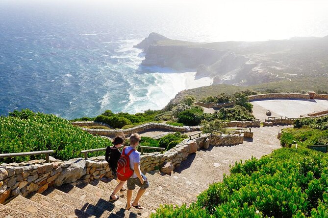 Full Day Cape Point Sightseeing Tour - A full-day Cape Peninsula route that hits the big icons
