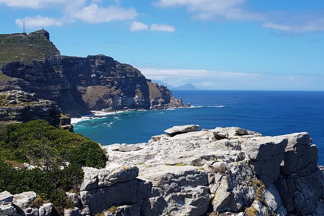 Full Day Cape Point Sightseeing Tour - Boulders Beach penguins: plan for slow watching, not sprinting