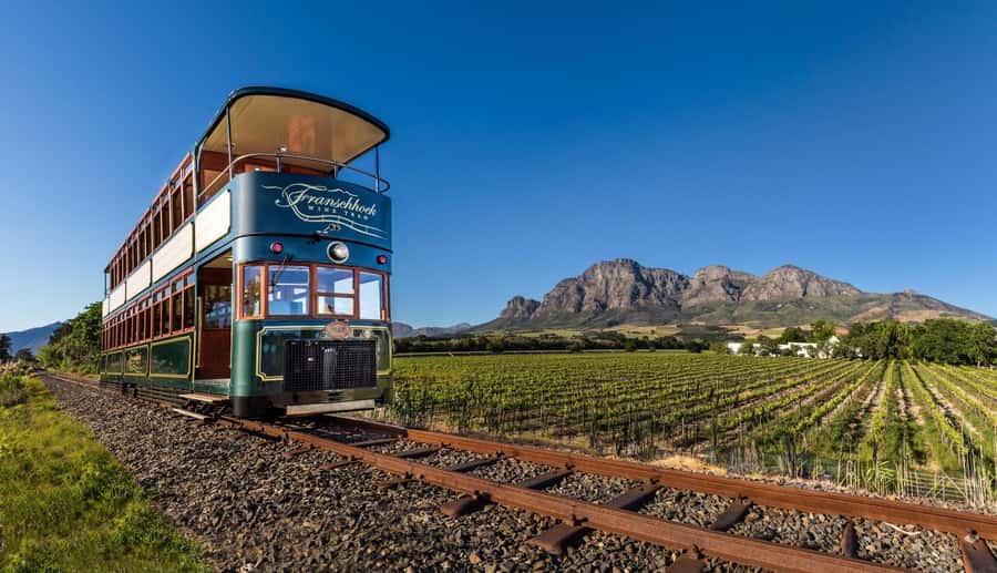 Full Day Cape Winelands Tour: Franschhoek & Stellenbosch - What this tour does well, and what to watch for