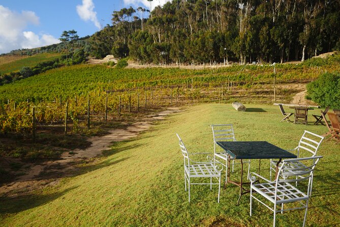 Full-Day Constantia Wine Tour from Cape Town - Price and Value: Is $204.38 a Fair Deal for a Full Wine Day?