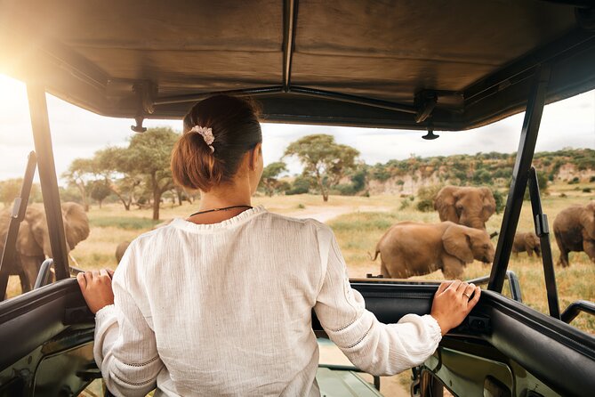 Full Day Exquisite Pilanesberg Safari from Johannesburg - Why Pilanesberg works so well for a day safari from Johannesburg