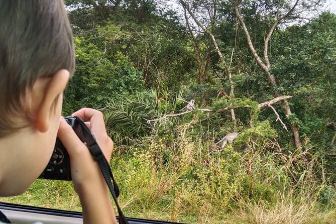 Full-Day Family Hluhluwe iMfolozi Park Safari Experience - Key Highlights You’ll Actually Care About