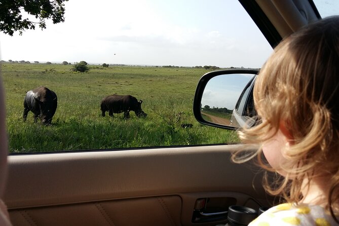 Full-Day Family Hluhluwe iMfolozi Park Safari Experience - Inside the Park for 7 Hours: What You’re Really Doing