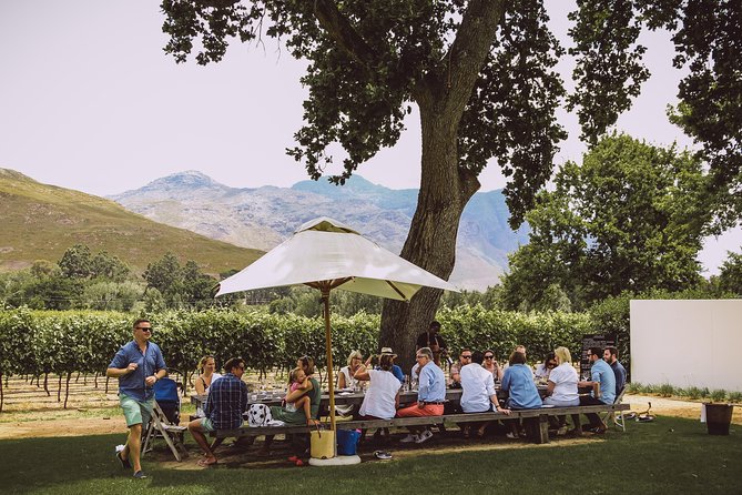 Full-Day Franschhoek Hop On Hop Off Wine Tram Tour from Cape Town - Boschendal Drop-Off Reality Check (And How to Use It)