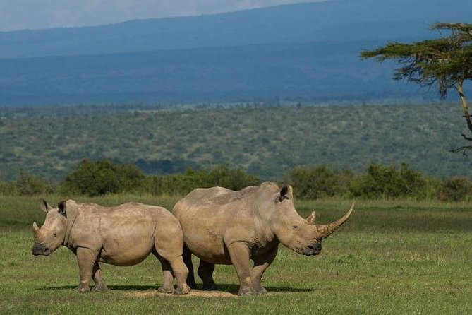 Full day - Hluhluwe Imfolozi Game Reserve 1 Day Tour From Durban - Getting out of Durban early, and what the long day really feels like