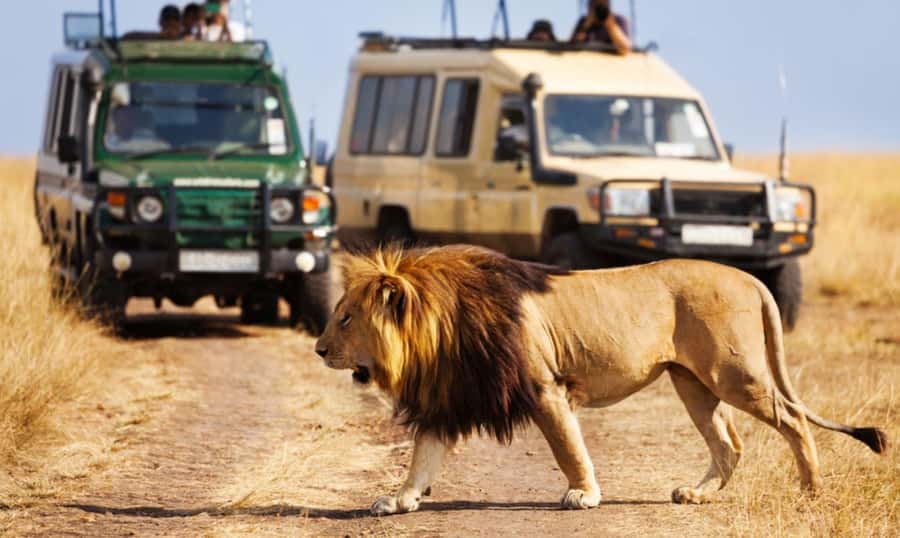 Full Day Hluhluwe Imfolozi Game Reserve Tour from Durban - Key highlights I’d plan around