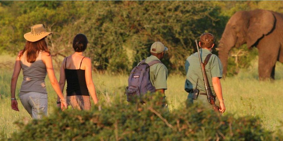 Full Day Hluhluwe Imfolozi Game Reserve Tour from Durban - White rhino conservation and the Centenary Capture Centre context