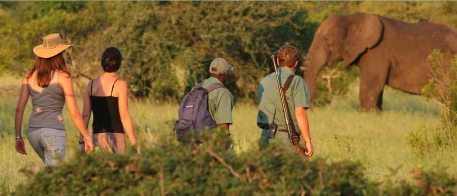 Full Day Hluhluwe Imfolozi Game Reserve Tour from Durban - Terrain and timing: why the reserve’s hills help you spot animals