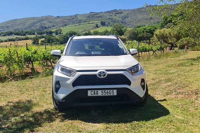 Full Day In Private Car Chauffeur Drive Service in Cape Town - The Vehicles: Van vs SUV, and Why It Affects Comfort