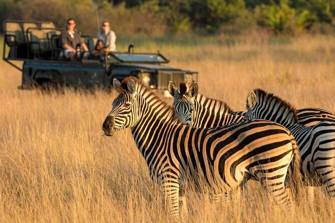 Full Day Isimangaliso Wetlands Park -Croc & Hippo &Game Fr Durban - Practical Tips to Make This Day Feel Easier