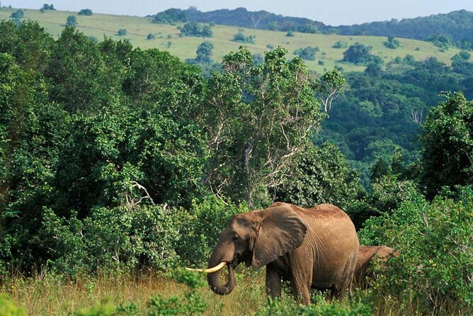 Full Day Isimangaliso Wetlands Park -Croc & Hippo &Game Fr Durban - Leaving Durban Early and Arriving With Time to Use