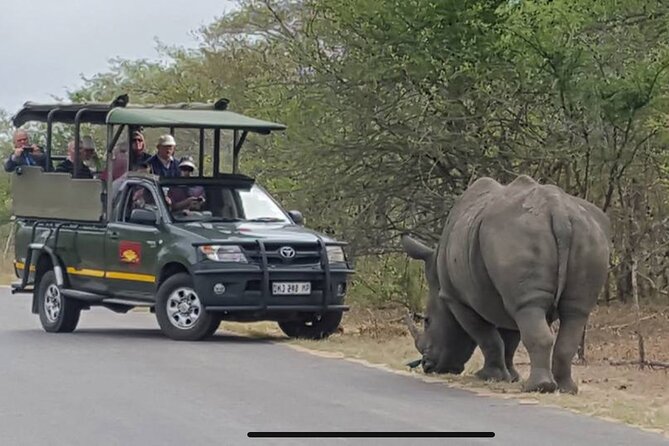 Full Day Kruger National Park Game Drive - Comfort and timing: how the day actually feels in 10 hours