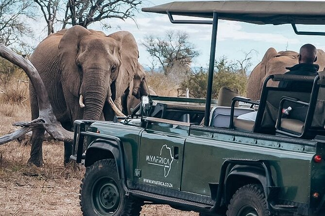 Full Day Kruger National Park Tour - Key Points That Matter Most For Your Kruger Day