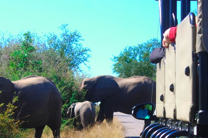 Full-Day Kruger Park Safari from Nelspruit, Whiteriver or Hazyview - Transportation and group size: why this setup feels easier