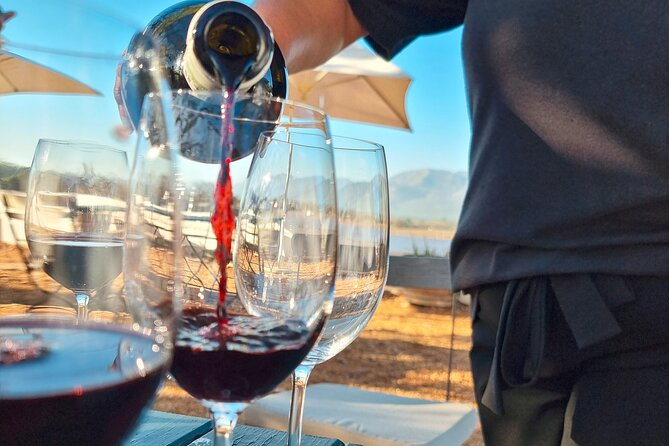 Full Day Mystery Tour - Alcohol Pace and Comfort Tips for a 7-Hour Tasting