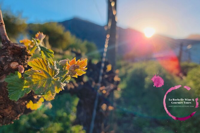 Full Day Mystery Tour - Getting Started in Franschhoek: 9:30, Pickup, and a Long Day