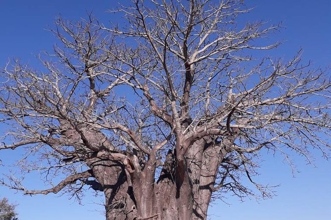 Full Day Panorama Hike and Scenic Tour minimum 2 people - Stop 4: Blyde River Canyon Nature Reserve and the viewpoint hike
