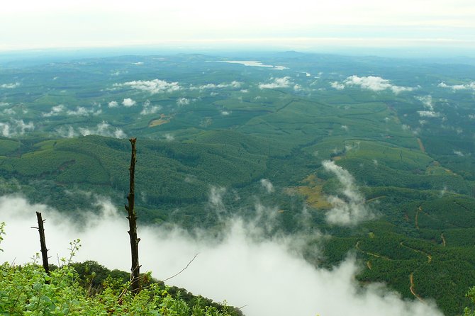 Full-Day Panorama Tour from Hazyview - Price and value at about $140.81 per person