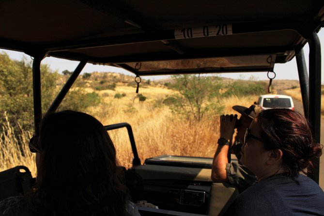 Full Day Pilanesberg Experience in Open Vehicle - Two Safari Drives in One Day, Open 4x4 Morning to Closed Vehicle Afternoon