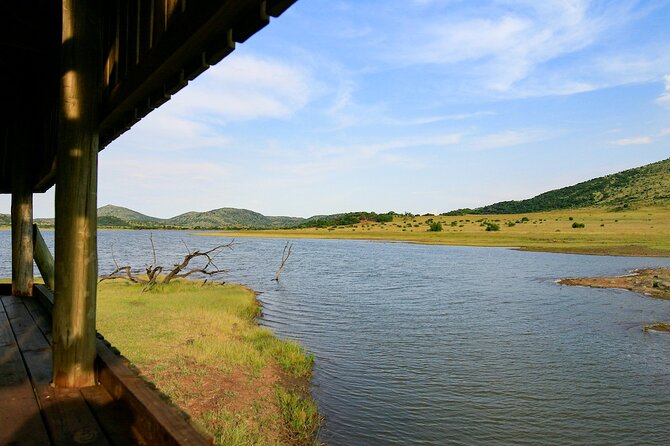 Full Day Pilanesberg Experience in Open Vehicle - The 6:00 am Start From Johannesburg, and Why Timing Matters
