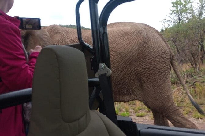 Full Day Pilanesberg Experience in Open Vehicle - Morning Stop at Pilanesberg National Park: What the Open 4x4 Is Really For