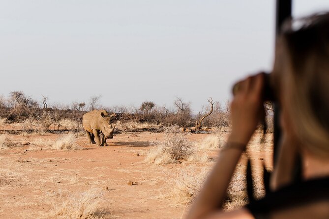 Full Day Pilanesberg Safari Adventure - Key highlights at a glance