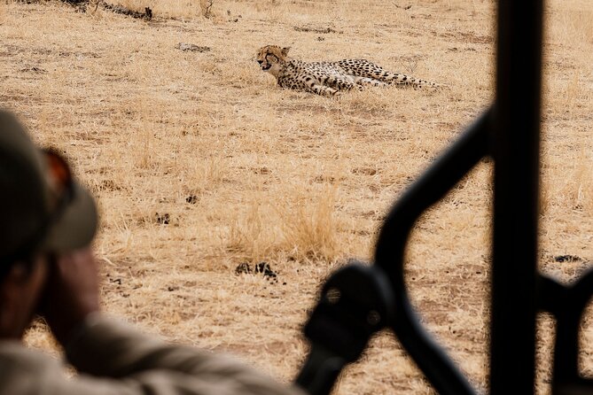 Full Day Pilanesberg Safari Adventure - Price and value: what $121.35 buys you in real safari time