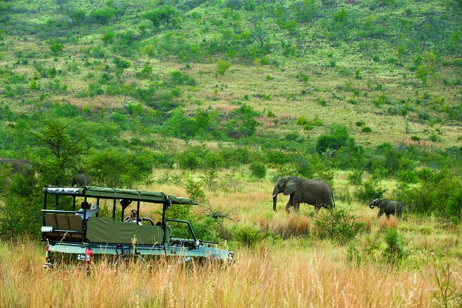 Full Day Pilanesberg Safari Adventure - What to bring for an open-vehicle day in Pilanesberg