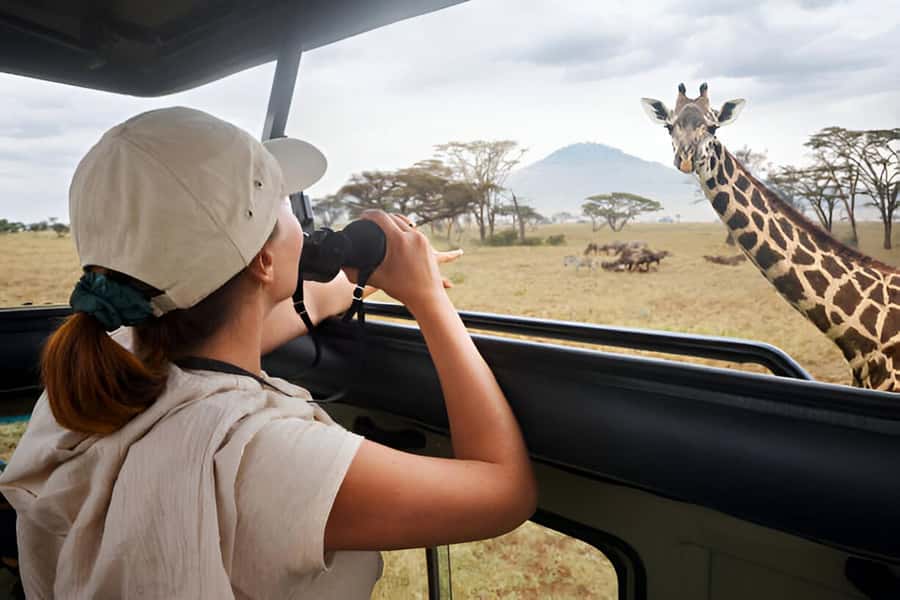 Full-Day Pilanesberg Safari from Sun City - Key Highlights You Can Bank On