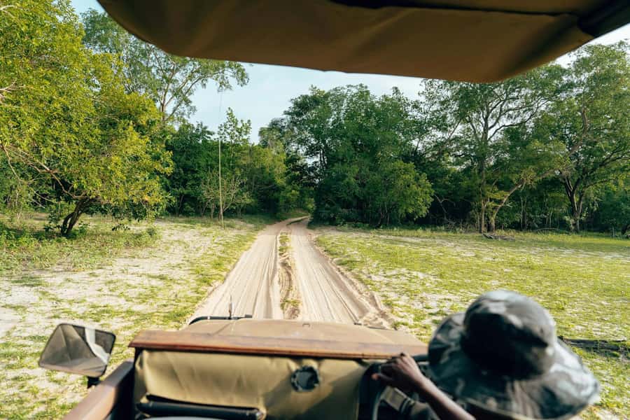 Full-Day Pilanesberg Safari from Sun City - Getting There From Sun City: Pickup, Ride, and Group Size