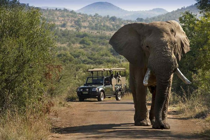 Full day Pilanesberg Safari Tour - Why Pilanesberg’s crater setting matters for your sightings
