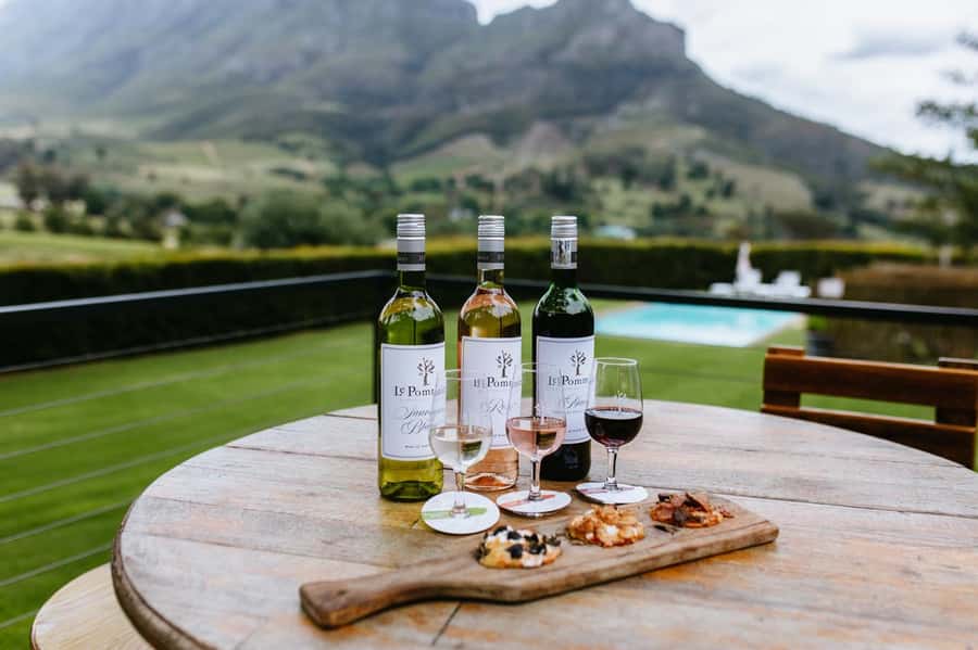Full-Day Private: Best of the Cape - Key highlights that matter