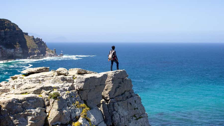Full-Day Private: Best of the Cape - The real value of a private Best of the Cape day