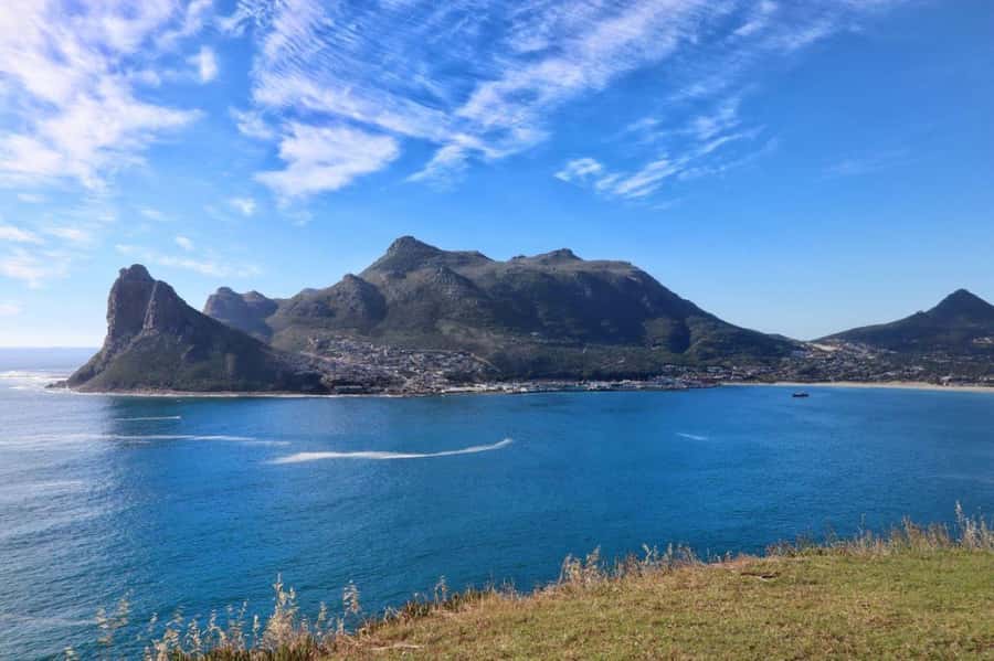 Full-Day Private: Best of the Cape - Chapman’s Peak Drive: the coastal road that makes the day feel special